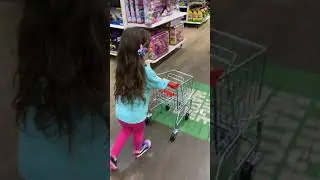 Shopping buggy