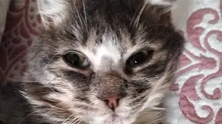 1 влог ❤✨🌷
