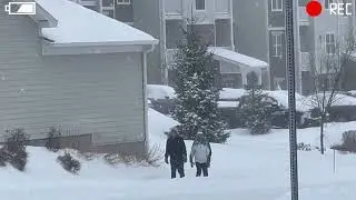 Winter storm - Snow piles up in Massachusetts (Feb 25, 2022)