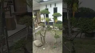 bolehkah kita membanga bangakan nazab #feedshorts #kisahislami