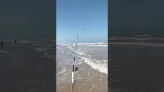Pesca de orilla en la playa #fishing #surffishing #beachfishing