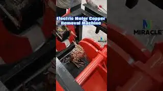 Electric Motor Copper Removal Machine