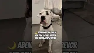🌙 Abendroutine, bevor wir den Tag mit Jordan und Zaira abschliessen