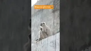 किऋस😎का🤳सुनाएगा👍गाना💚#funny #comedy #entertainment #ytshorts #familyvlogs #subscribe my channel🙏🏻🙏🏻