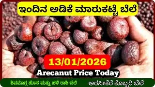 Arecanut Price Today &ndash; 13 January 2026 | Shivamogga Adike Market | Arsikere Copra Tender Update