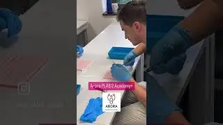 Arora PLAB 2 Academy+ Clips&hellip; #plab #plab2 #plab2academy