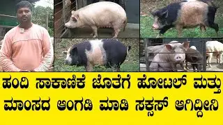 ಮೂರು ಹಂದಿಯಿಂದ  ಶುರು ಮಾಡಿ ಇವತ್ತು 100 ಹಂದಿ ಮಾಡಿದ್ದೀನಿ..sucessfull pig farming in shimoga