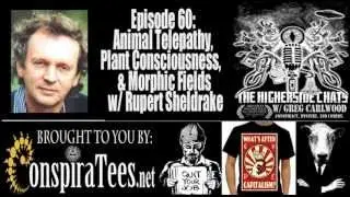 Higherside Chats 60: Rupert Sheldrake - Animal Telepathy, Plant Consciousness, & Morphic Fields