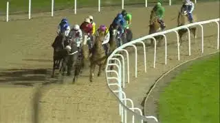 1 Race Tuesday 09 Jan 2024 Southwell