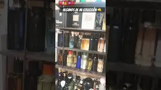 MIS PERFUMES/Algunos De Mi Colecci&oacute;n!
