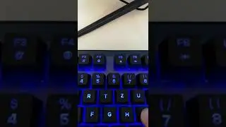 Video Tastenger&auml;usch QPAD MK-95