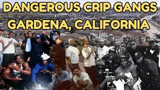 Inside Gardena California's Most Dangerous Crip Gangs: The Untold Story