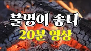 겨울밤, 불멍이 좋다 (20분 영상)