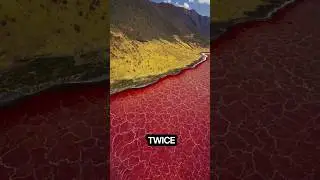 Part 4 - The Unexplainable Natural Phenomena 😱 #interestingfacts #naturalphenomena #viral