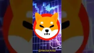 Shiba Inu continues to underperform / Solana Bitcoin Polkadot Ethereum ChainLink Polygon Tron