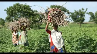 Rural Women Empowerment through SHG Federations in Telangana, India: A Path Analysis Approach