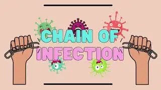 Chain of Infection  |  How does Infection Spread? | Health Education for Students