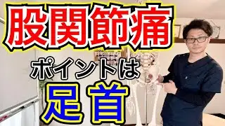 【股関節痛】治すポイントは足首！ 整体院羽翼 TSUBASA