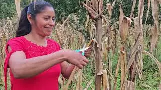 El campo es nuestro refugio para sacar adelante a mi hijo