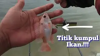W.K.O 