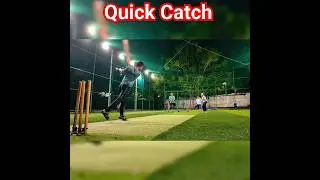 Quick Catch #reels #shortsfeed #shortsvideo #ytshorts #youtubeshorts #cricket #trending #shorts #yt