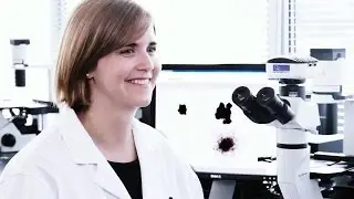 Contract Assay Services at STEMCELL Technologies Inc.
