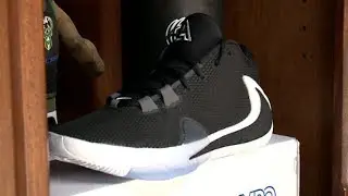 Giannis Antetokounmpo's Zoom Freak 1 shoes