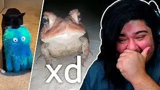 MEMES RAROS #2