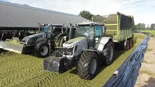 Chopping corn!