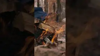 That fire for the outdoors is deep within. #landmanagement