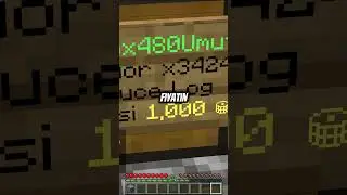 Toksik Oyuncuyla Karşılaştım! - Minecraft Skyblock Server - SentorCraft #minecraft