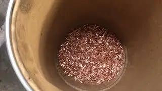 Rmrbullets 69 grain .223 bullet. Finally working!