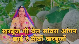 खरबूज गी बेल सांवरा आंगन छाई रे मीठों खरबूजों राधा रानी नहावन लागी पानी झलाव ।। खरबूजों भजन