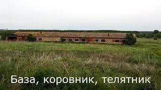 Поездка на Ферму, колхоза 