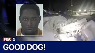 K-9 thwarts attempt to hide illegal drugs | FOX 5 News