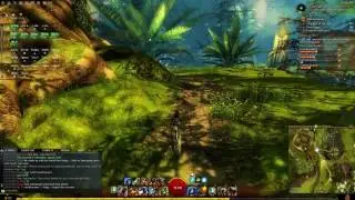 [Guild Wars 2] Engineer - Battle in Tarir - East/West