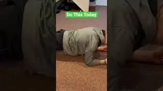 #1 Ab Exercise for Beginners in 2023 (strengthen your core) #shorts