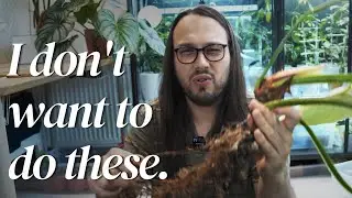 doing plant chores I don't want to do
