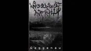 Woods of Infinity - Gaggenau  (Full Demo)
