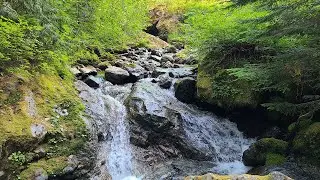Perry Creek Trail 08-15-2021