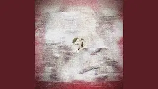 wrong reality (Ultra Slowed)