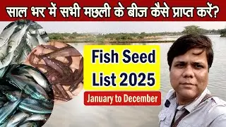 Fish Seed 2025 - साल भर में सभी मछली के बीज कैसे प्राप्त करें? - Get Fish Seeds in 2025 at Low Price