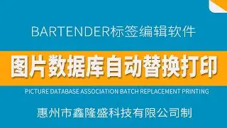 Bartender 图片数据库关联批量替换打印 | Picture database association batch replacement printing