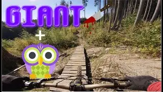 GIANT KILLER + HOOTS | WOODLOT, MAPLE RIDGE | INTENSE TAZER MX PRO ALLOY