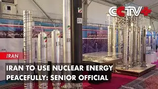Iran to Use Nuclear Energy Peacefully: Senior Official