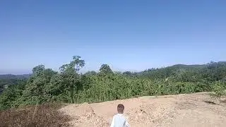 The nature