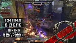 Снова в деле (CatOfFay TESO)