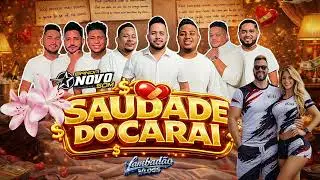 BANDA NOVO SOM - SUCESSO NOVO 