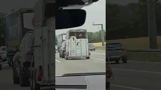 unique horse transport #germany #germancars #horsecart #mercedes #ytshort #yt #transport #horse