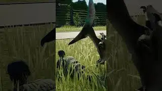 Barbaridactylus is definitely not a cute pterosaur! - Jurassic World Evolution 2 : Dominion Biosyn
